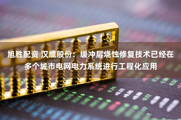 旭胜配资 汉缆股份：缓冲层烧蚀修复技术已经在多个城市电网电力系统进行工程化应用