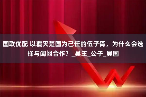 国联优配 以覆灭楚国为己任的伍子胥，为什么会选择与阖闾合作？_吴王_公子_吴国
