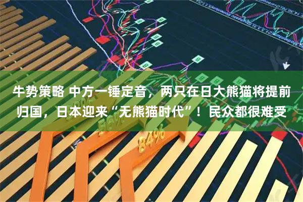 牛势策略 中方一锤定音，两只在日大熊猫将提前归国，日本迎来“无熊猫时代”！民众都很难受
